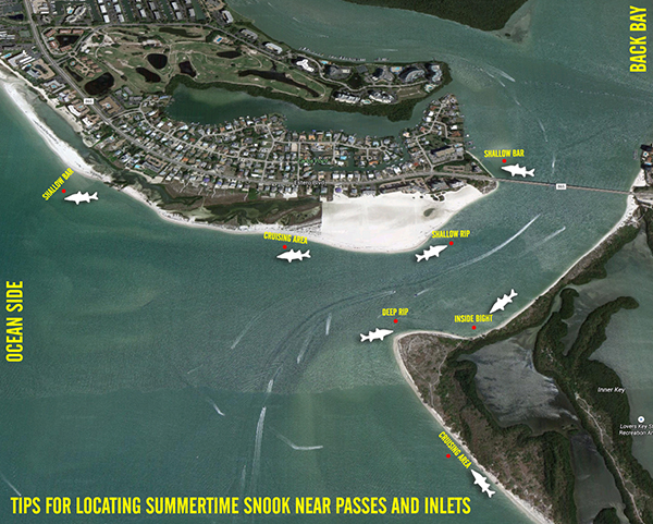 beach_snook_diagram_600